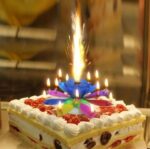 Melody Birthday Candle Musical flower with Rotating Petals Colorful flame and Happy Birthday Tune For Celebration